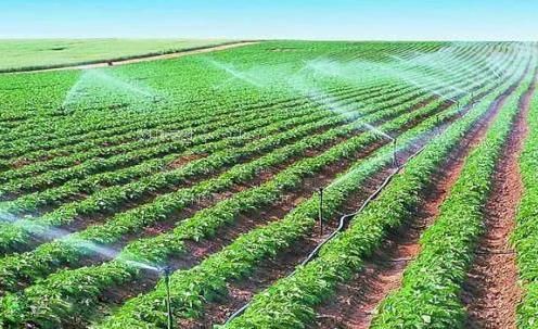 美屄白虎农田高 效节水灌溉